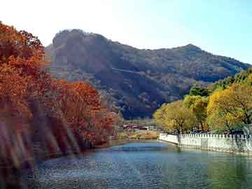 日韩在线医院，黑帽泛目录